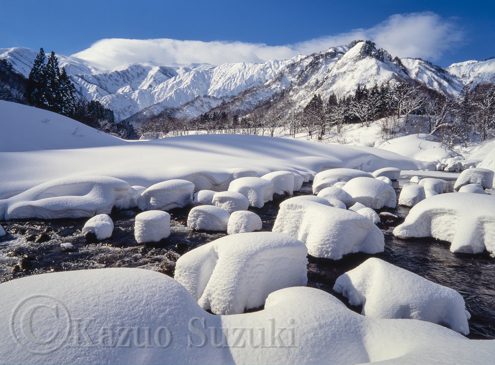 February Silver World