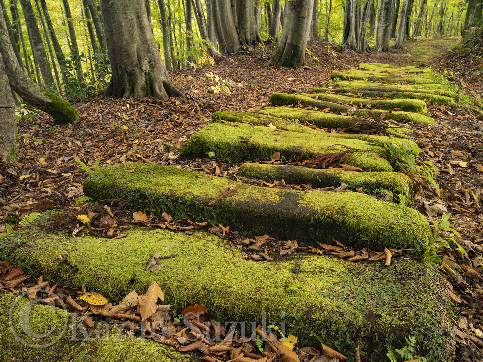 November Kurosawatoge Pass