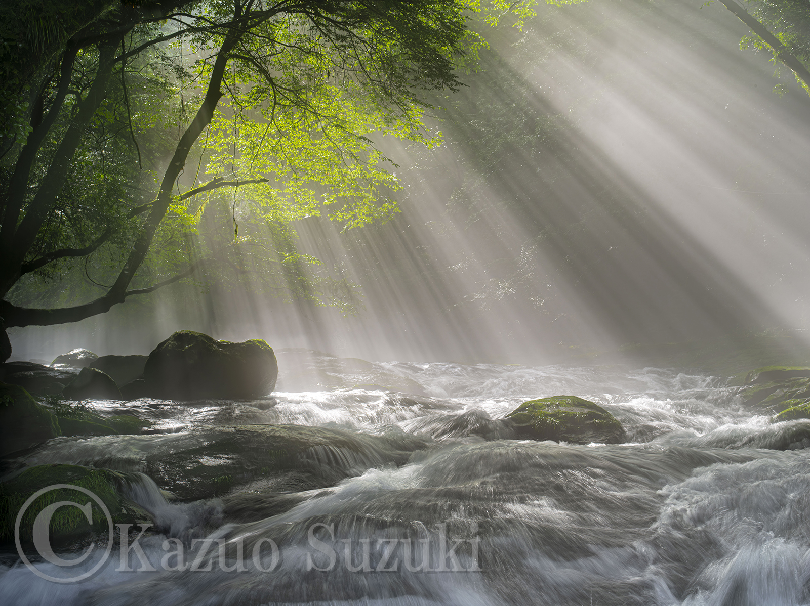 8月 渓流の光芒