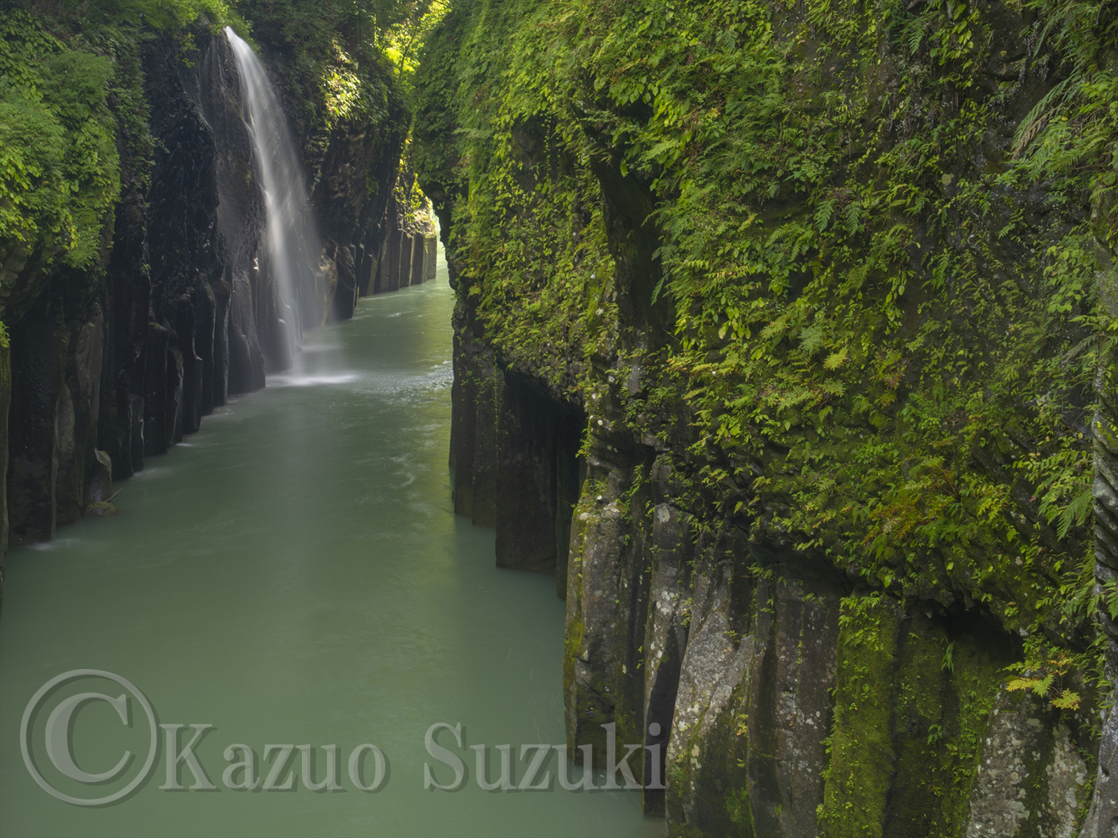 Little Rays of Light