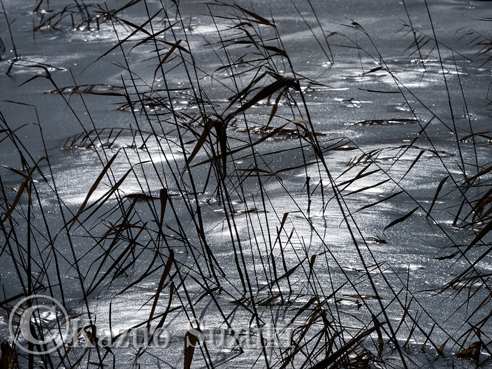 Prelude to Winter II