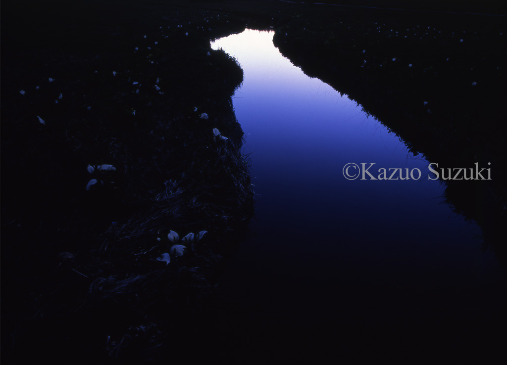 Shining Oegawa River