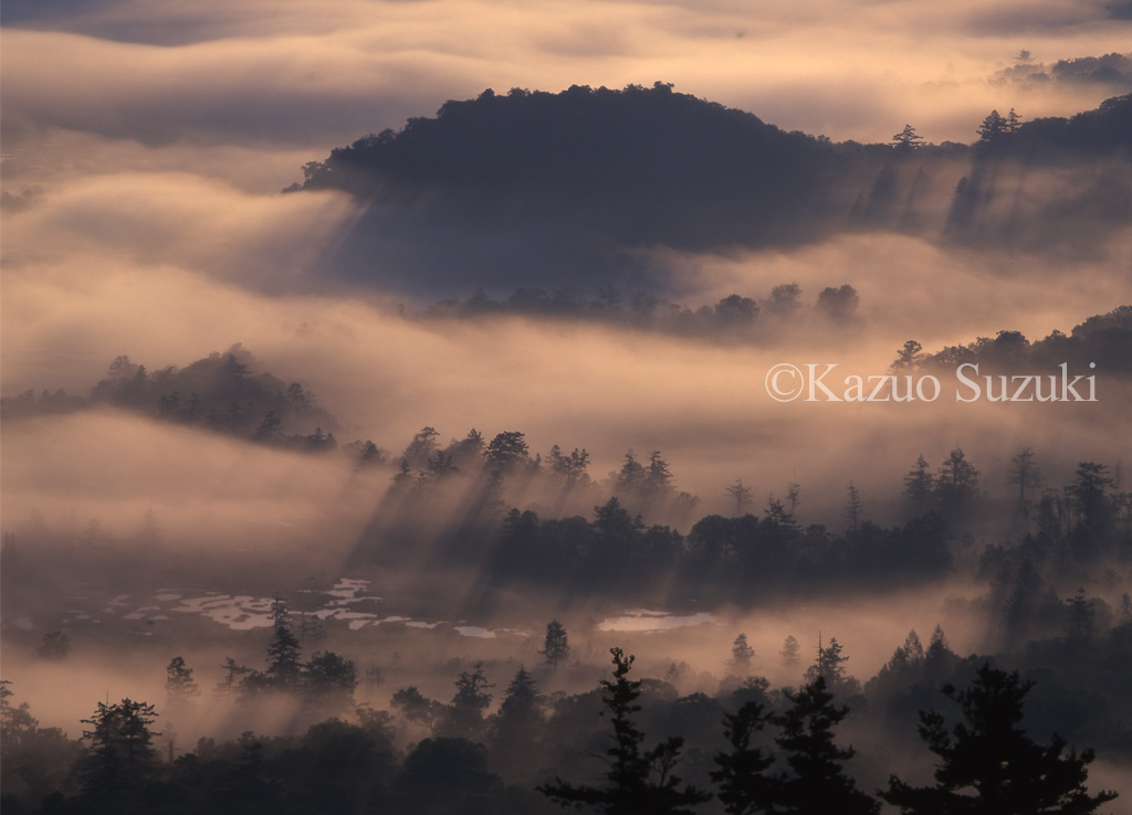 Morning Mist Drifting