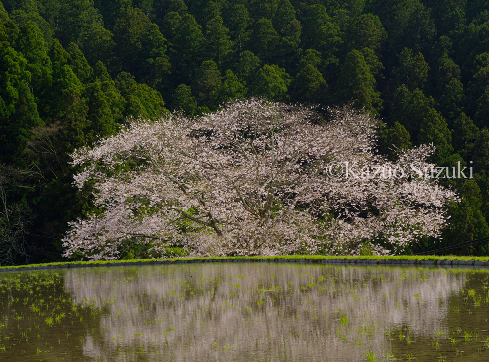 Standing on the Ridge
