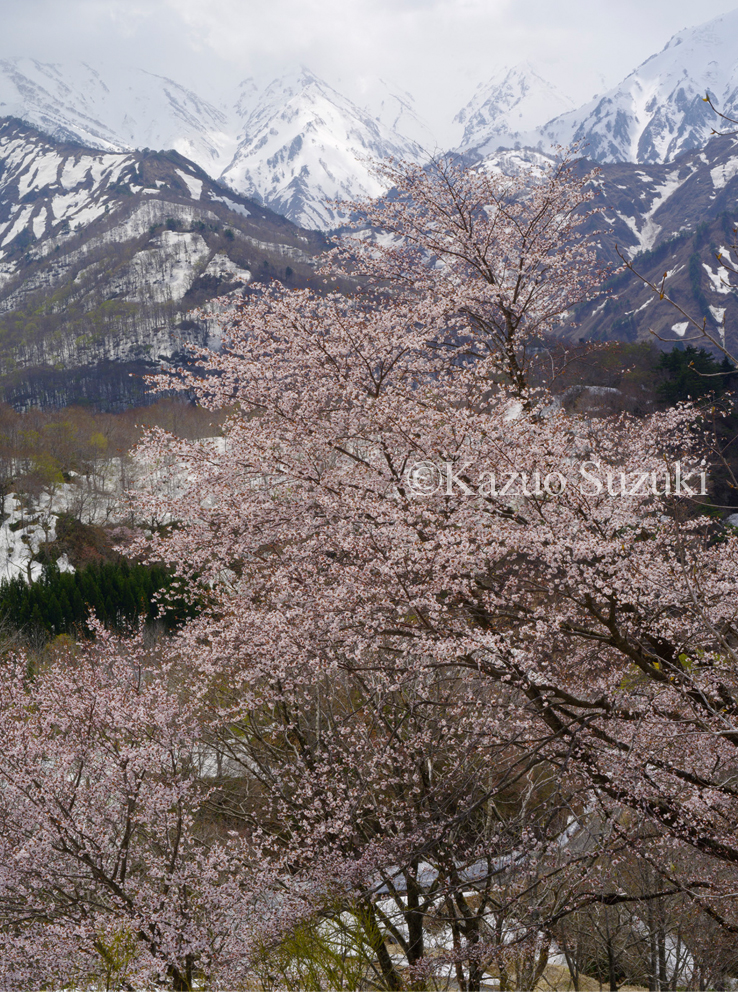 View of Snowy Mountains