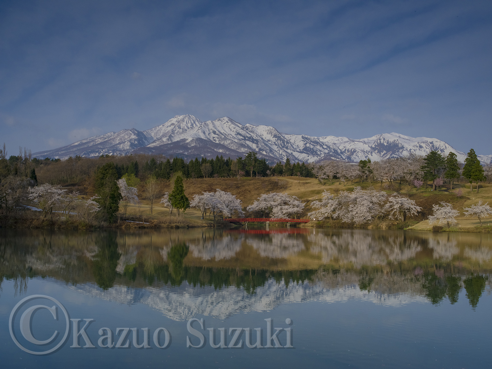 Otawara Cherry Blossoms
