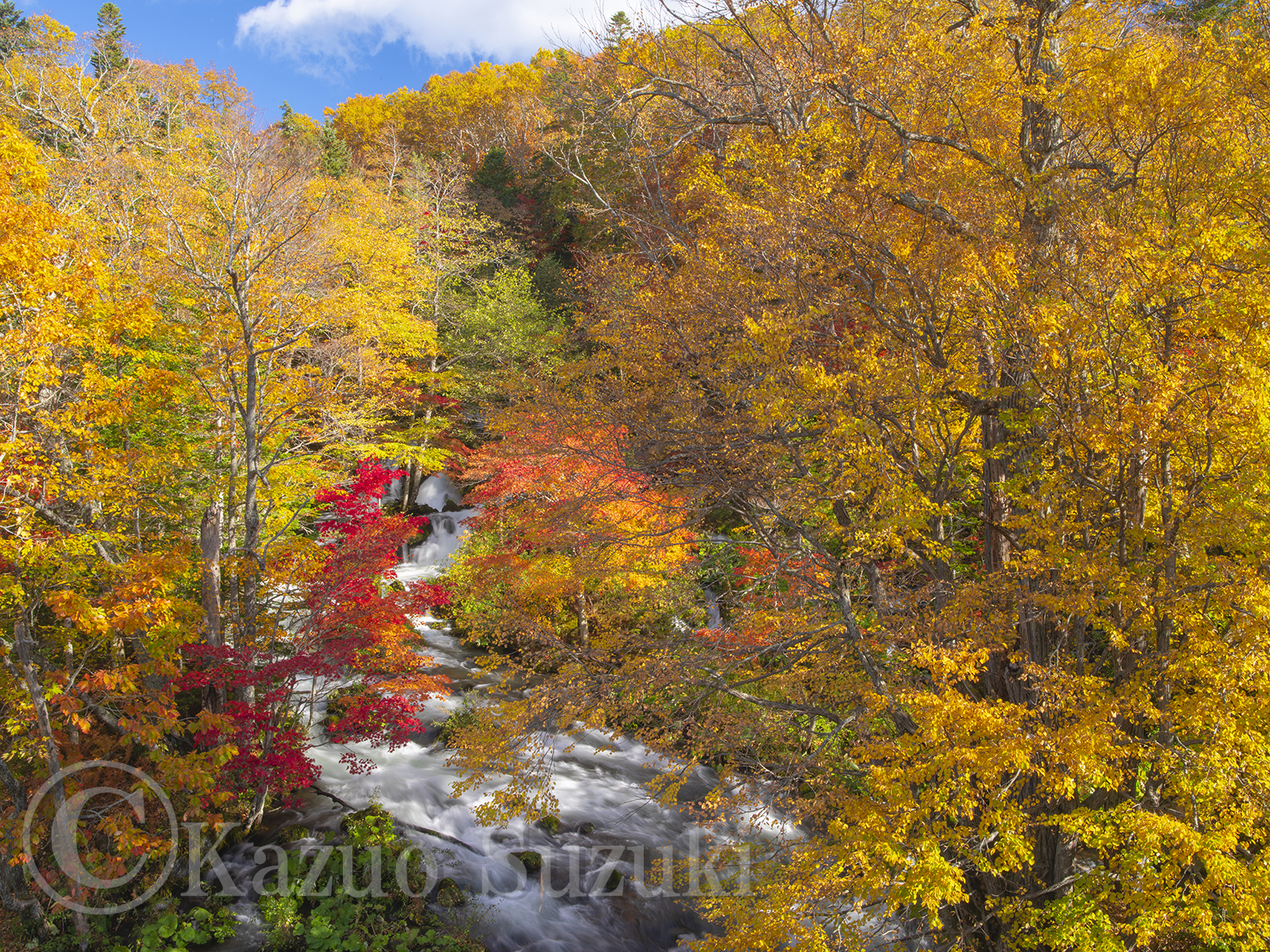 Before Rice Planting